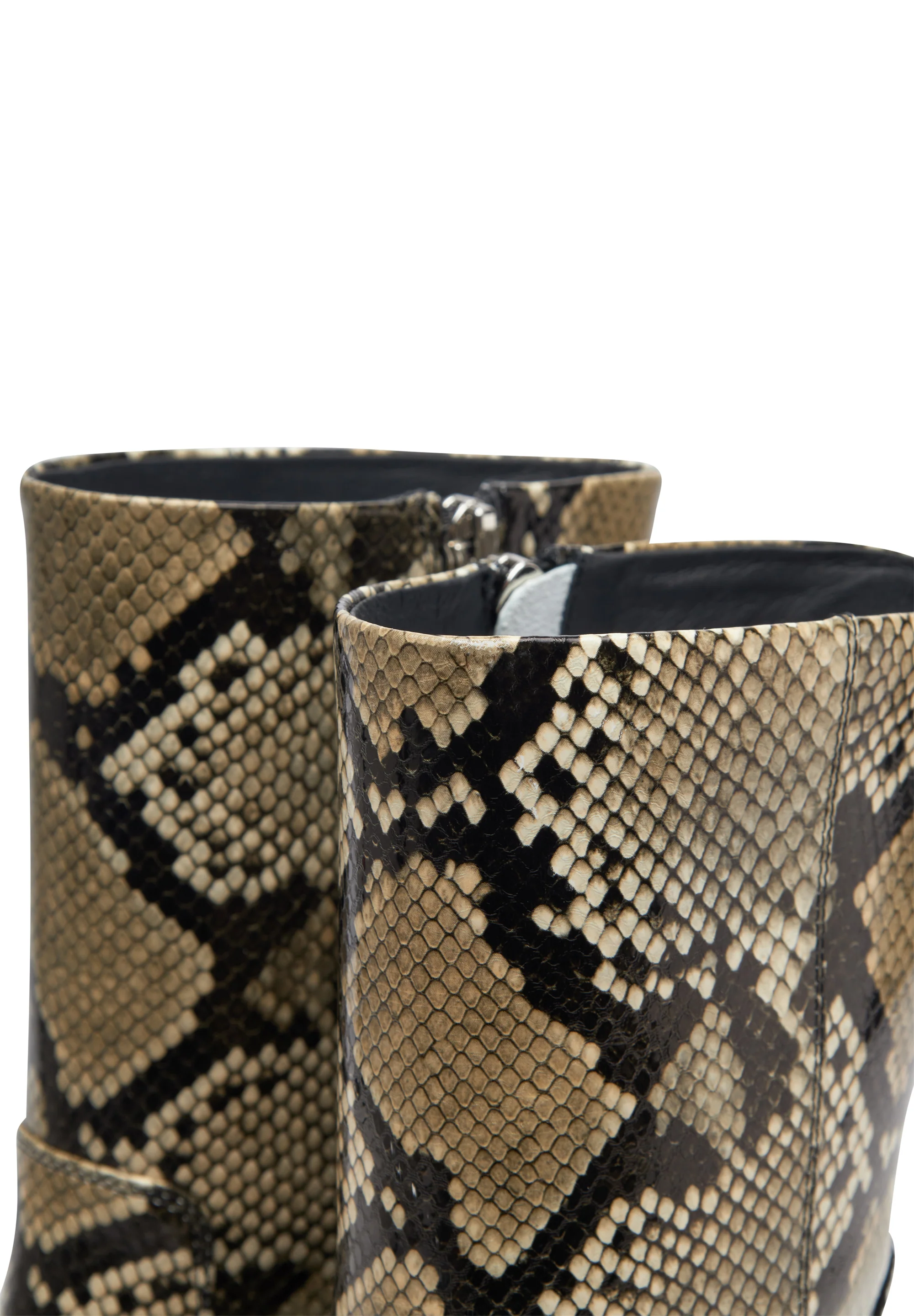 Ann Snake - Snake - Image 4