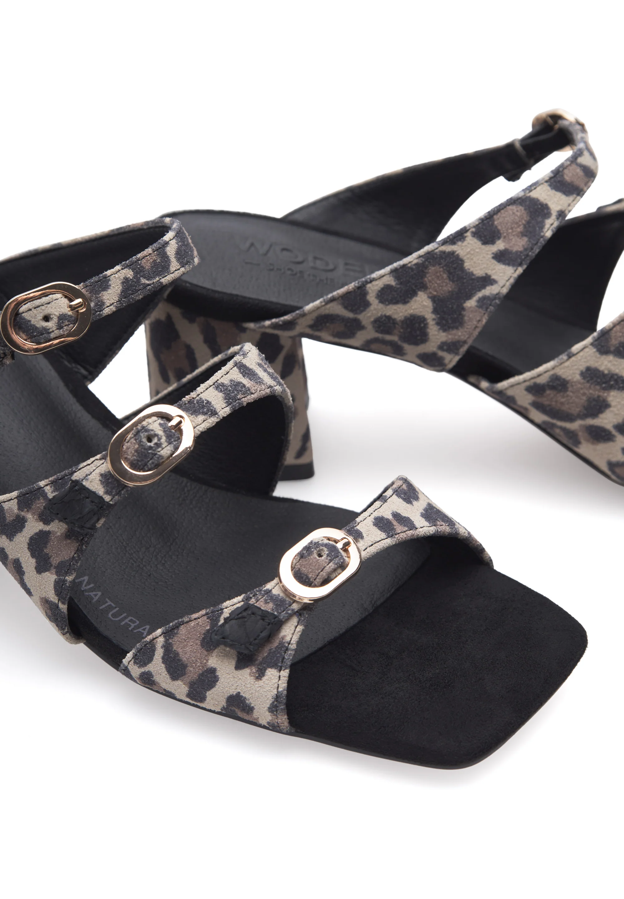 Hanna Leo - Leopard - Image 4