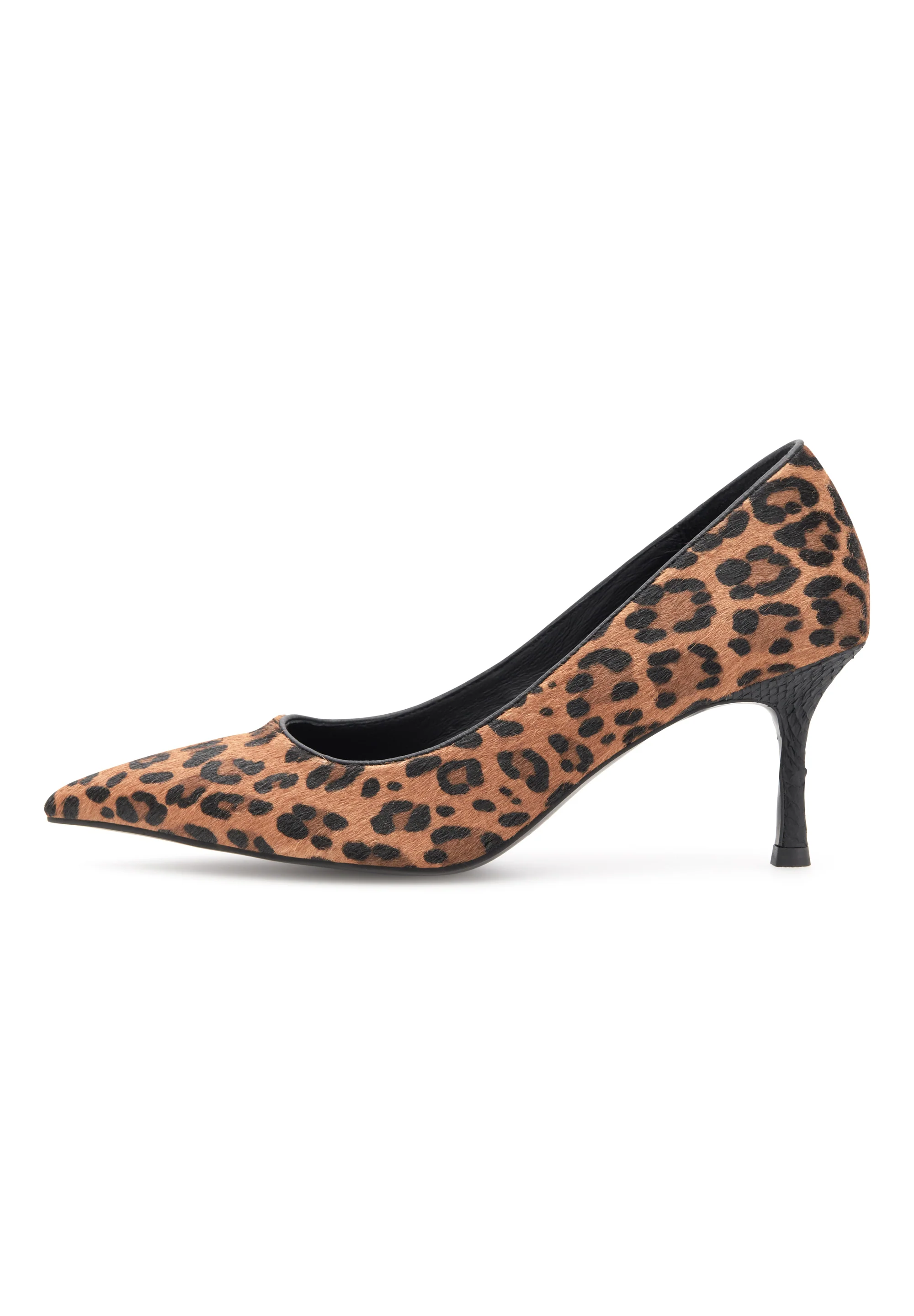 Laura Leo - Leopard