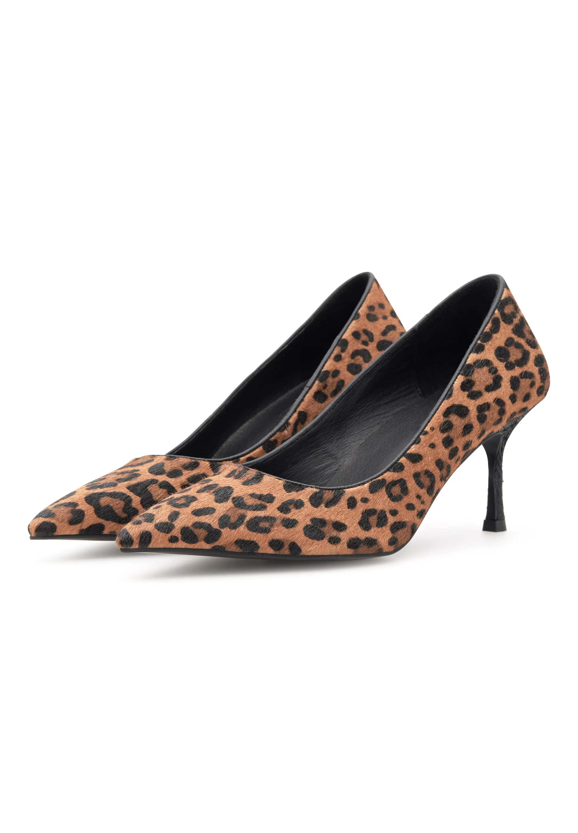 Laura Leo - Leopard - Image 2