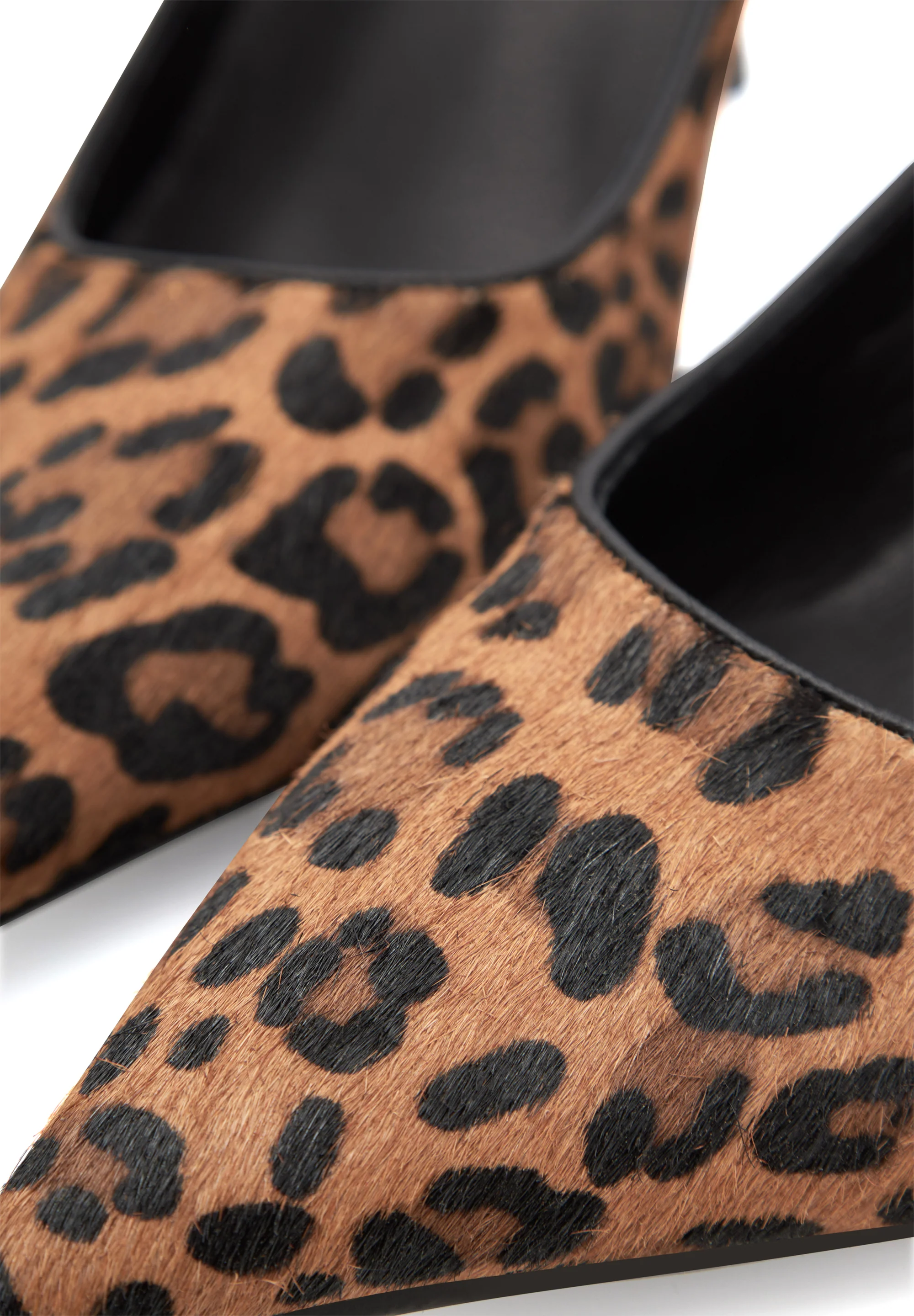 Laura Leo - Leopard - Image 4