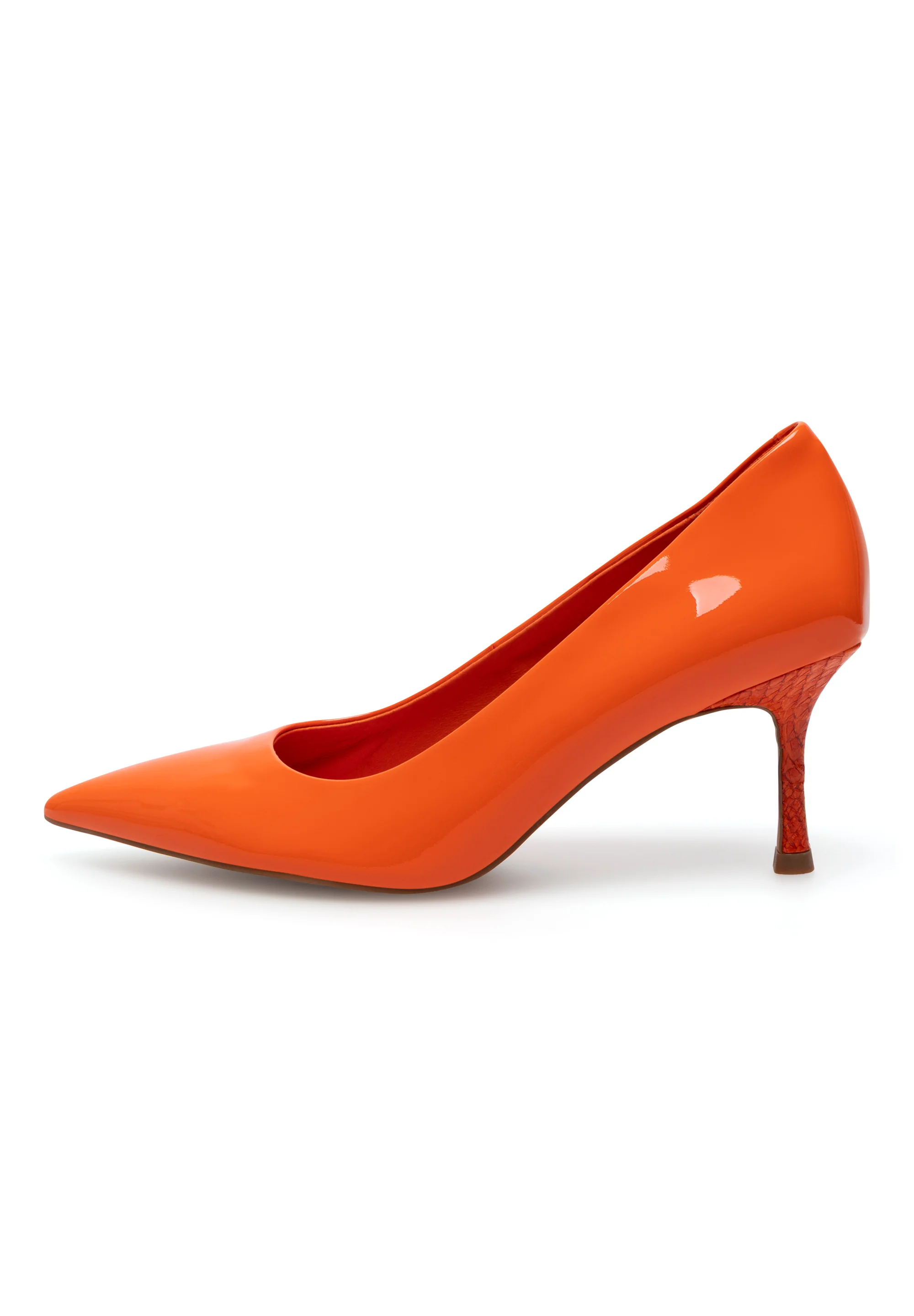 Laura Patent - Tiger