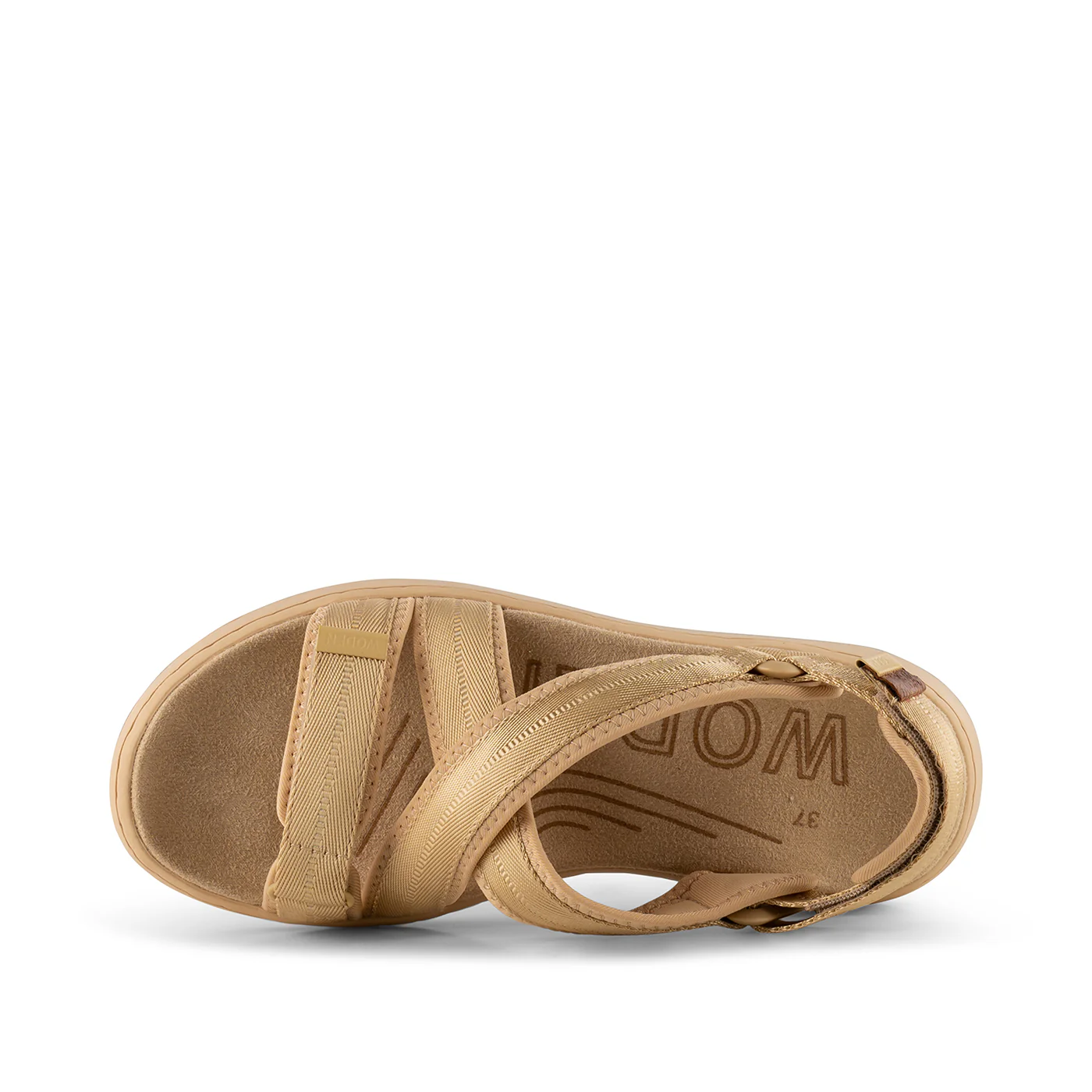 Line Cross - Beige - Image 5