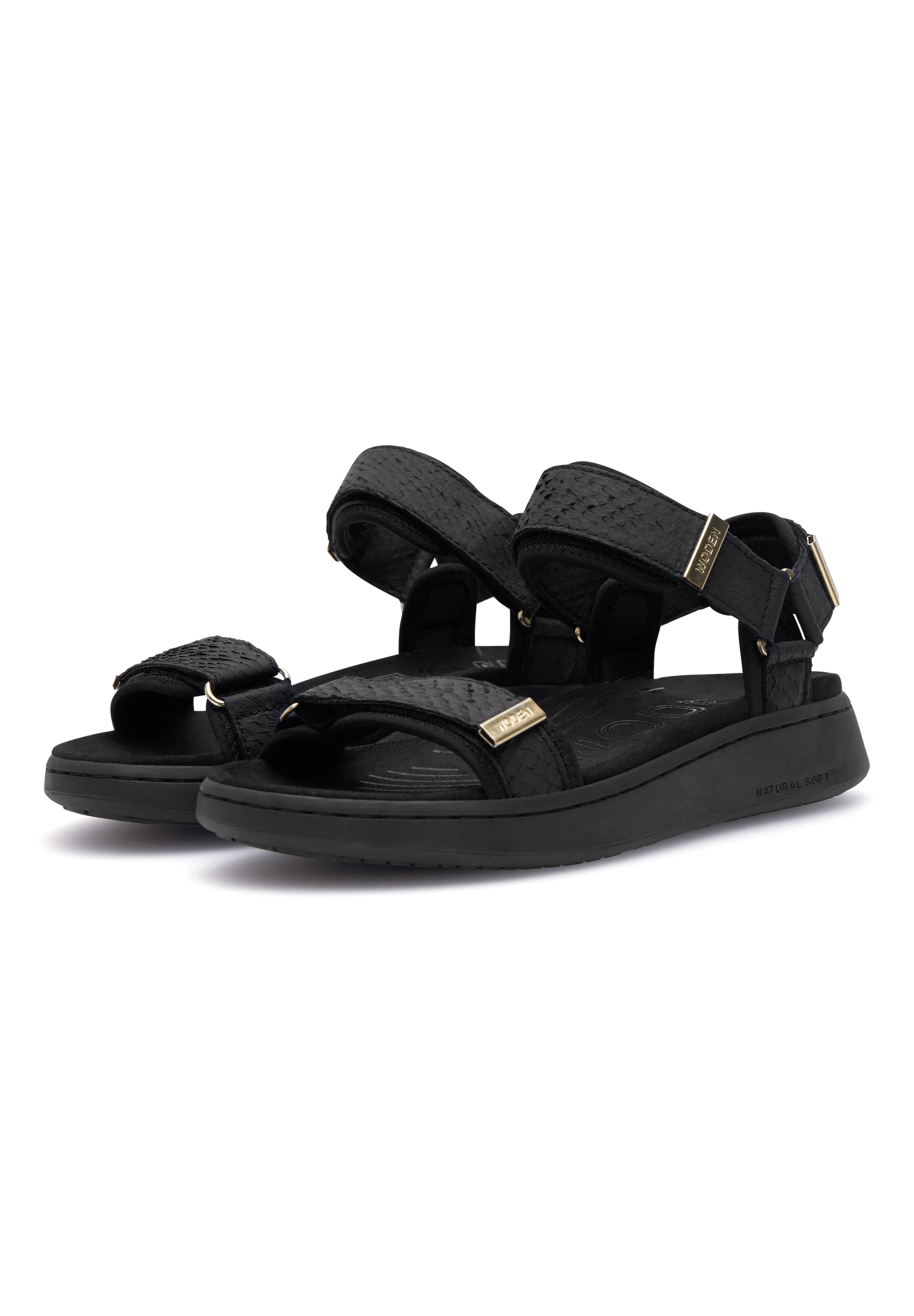 Line Fish - Black - Image 2