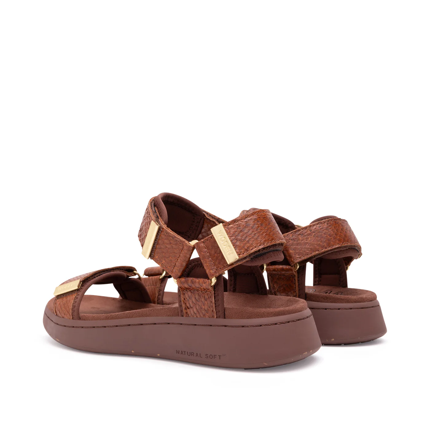 Line Fish - Brown - Image 3