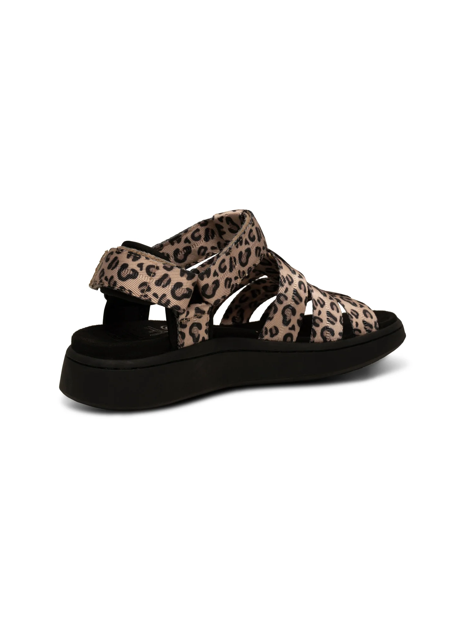 Line Fisherman - Leopard - Image 3