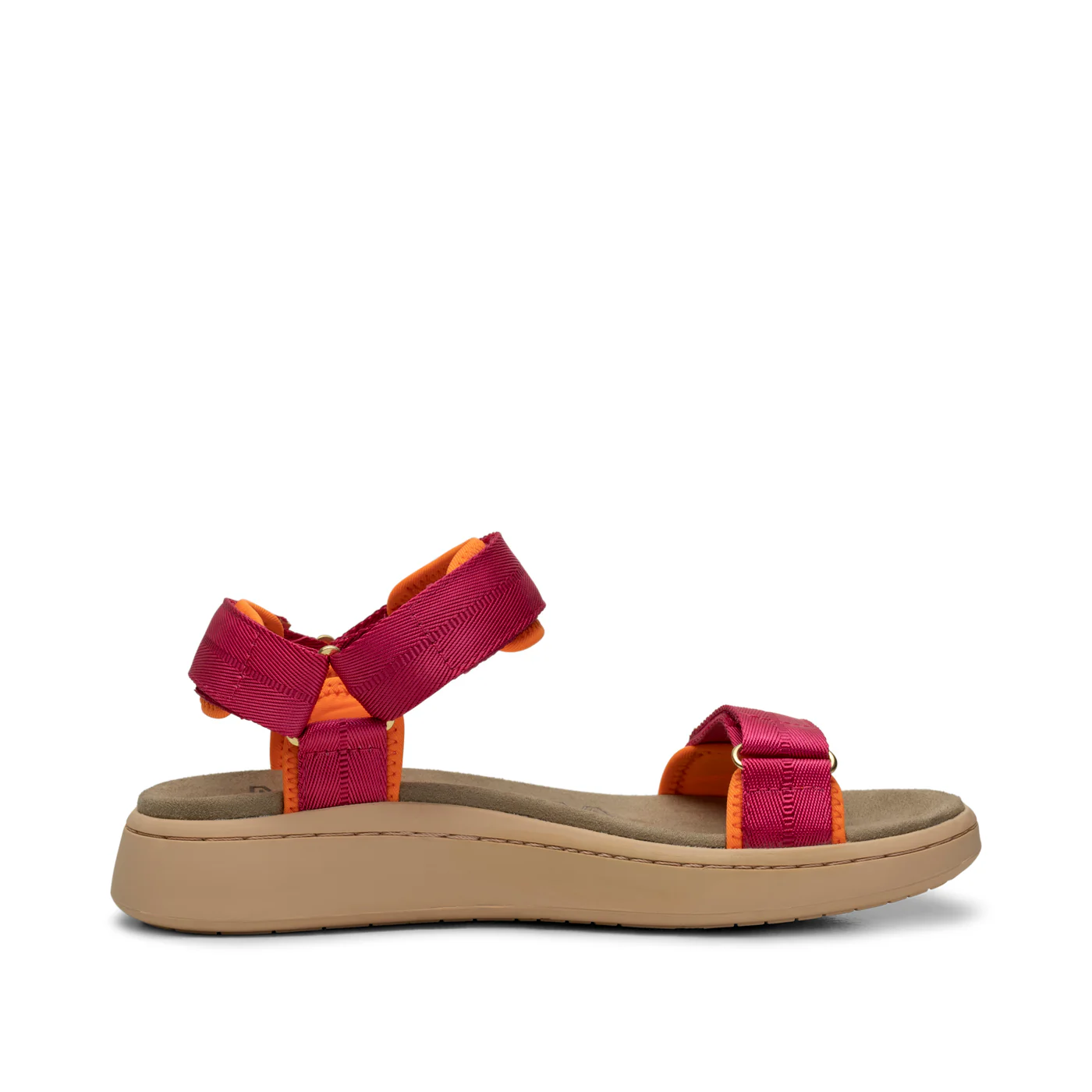 Line - Fuchsia - Image 4