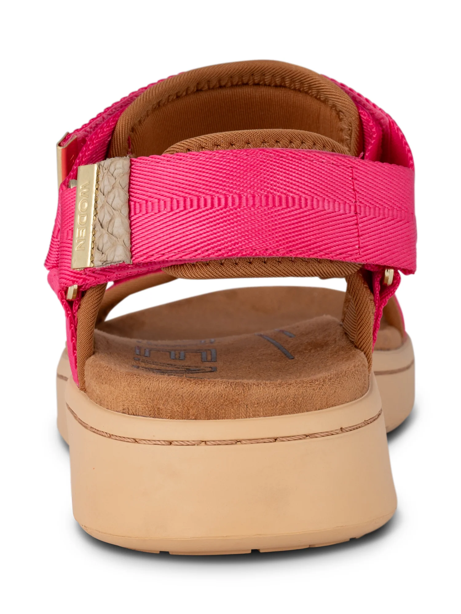 Line - Pitaya - Image 7