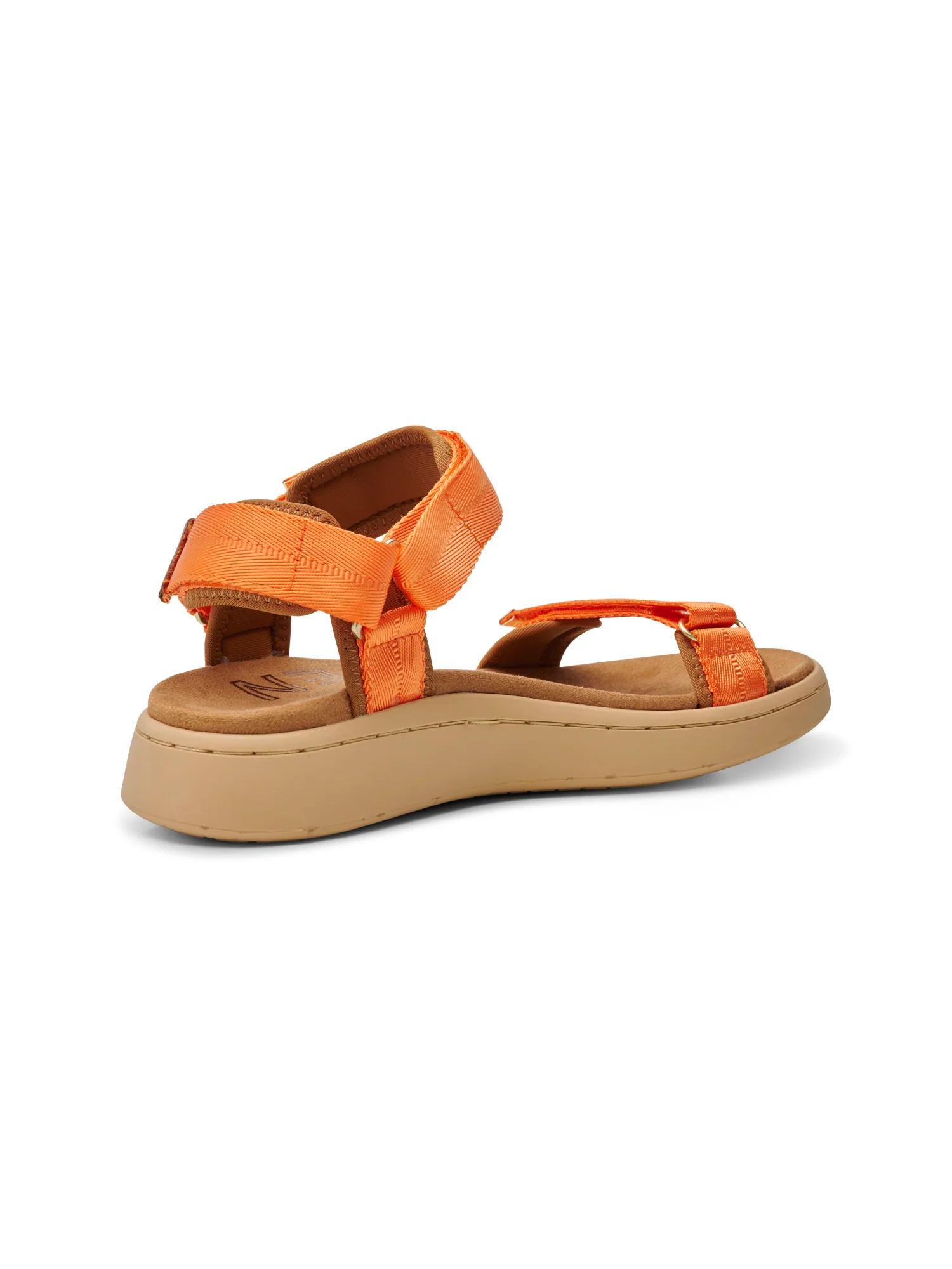 Line - Tiger - Image 3