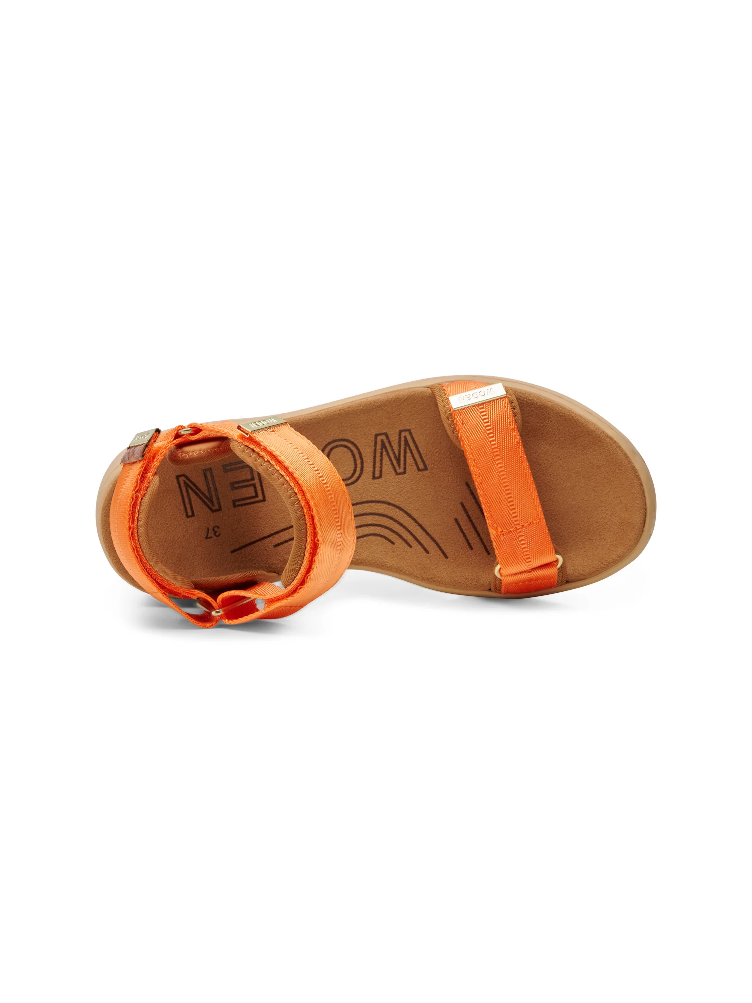 Line - Tiger - Image 5