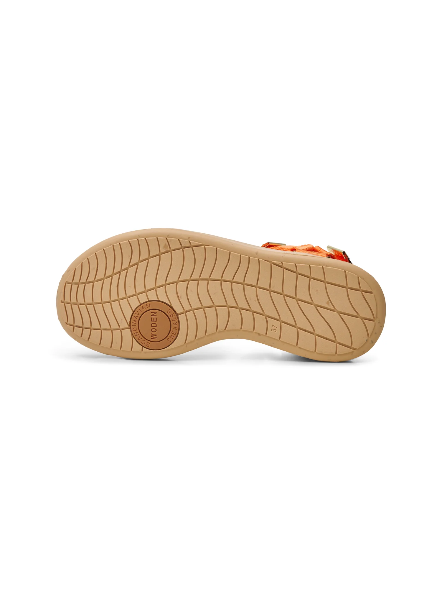 Line - Tiger - Image 6