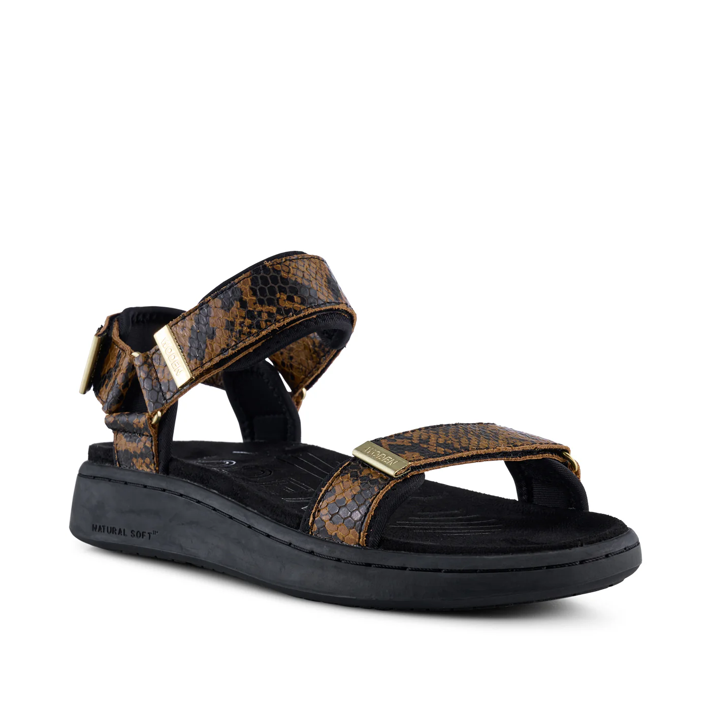 Line Snake - Brown Snake - Image 3