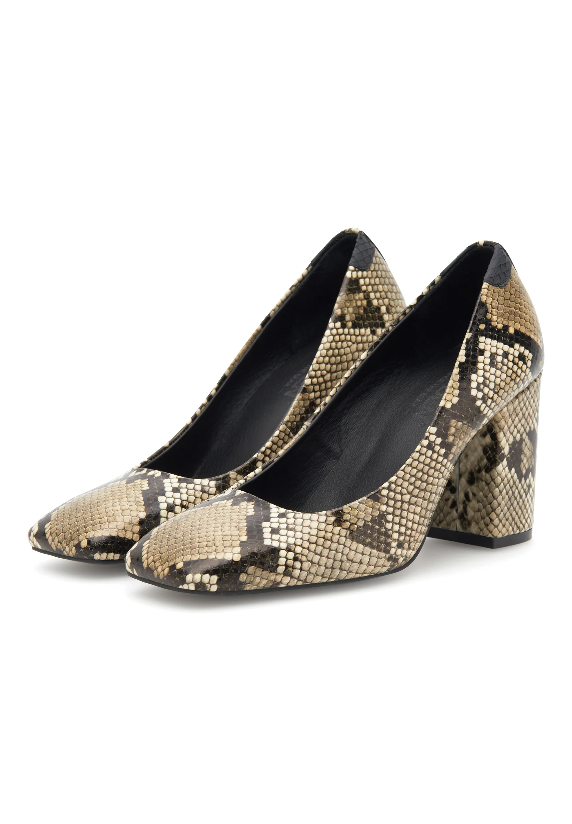 Marie Snake - Snake - Image 2