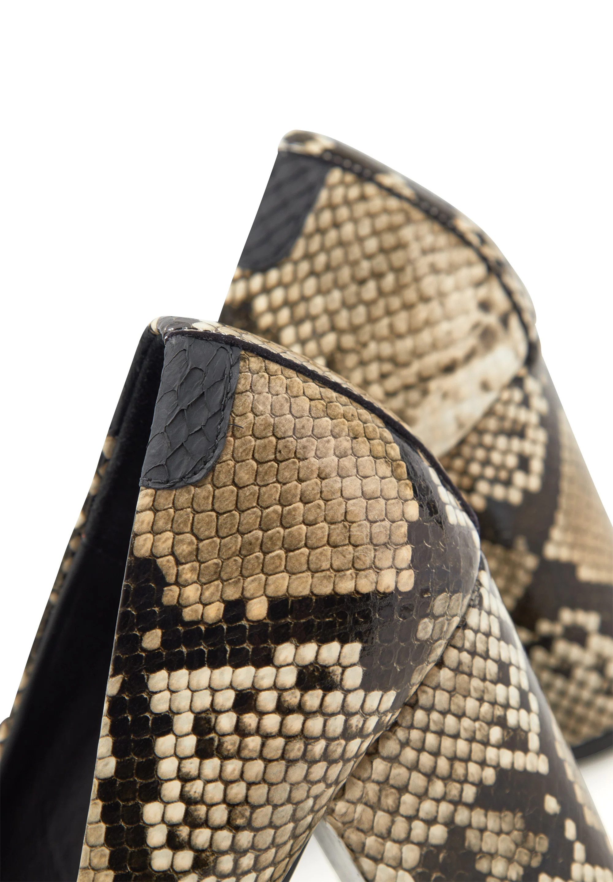 Marie Snake - Snake - Image 4