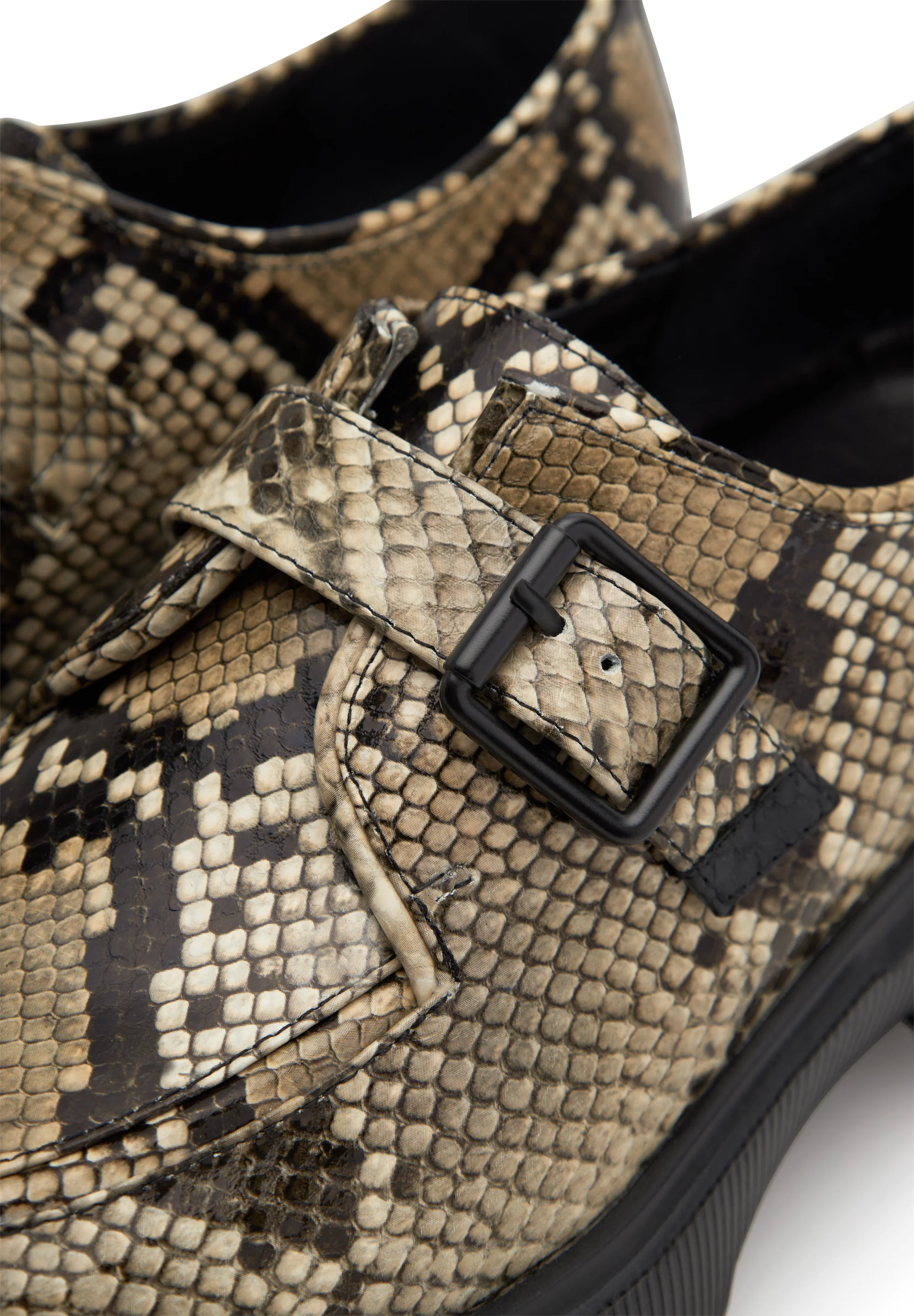 Posey Monk Snake - Snake - Image 4