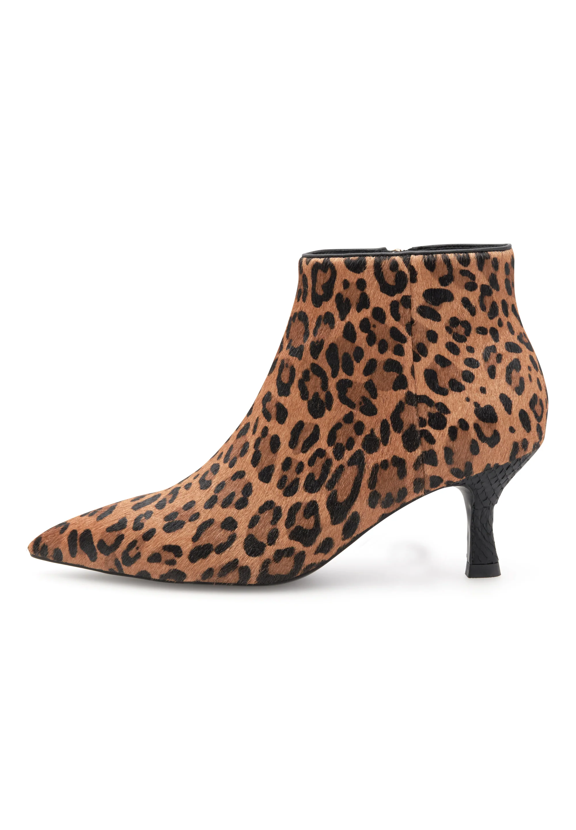Vera Leo - Leopard
